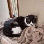 ヒメ日記 2025/03/03 12:13 投稿 める 北九州人妻倶楽部（三十路、四十路、五十路）