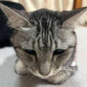 ヒメ日記 2025/03/05 22:25 投稿 める 北九州人妻倶楽部（三十路、四十路、五十路）