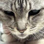 ヒメ日記 2025/03/06 17:31 投稿 める 北九州人妻倶楽部（三十路、四十路、五十路）