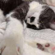 ヒメ日記 2025/03/08 17:34 投稿 める 北九州人妻倶楽部（三十路、四十路、五十路）