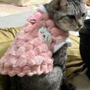 ヒメ日記 2025/03/09 07:07 投稿 める 北九州人妻倶楽部（三十路、四十路、五十路）