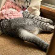 ヒメ日記 2025/03/09 19:09 投稿 める 北九州人妻倶楽部（三十路、四十路、五十路）