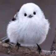 ヒメ日記 2025/04/14 00:17 投稿 める 北九州人妻倶楽部（三十路、四十路、五十路）