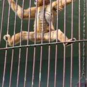 ヒメ日記 2025/04/14 12:12 投稿 める 北九州人妻倶楽部（三十路、四十路、五十路）