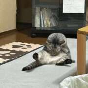 ヒメ日記 2025/04/15 08:45 投稿 める 北九州人妻倶楽部（三十路、四十路、五十路）