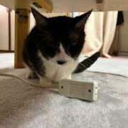 ヒメ日記 2025/04/23 05:06 投稿 める 北九州人妻倶楽部（三十路、四十路、五十路）