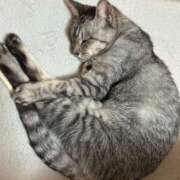 ヒメ日記 2025/05/09 10:29 投稿 める 北九州人妻倶楽部（三十路、四十路、五十路）