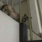 ヒメ日記 2025/05/10 07:36 投稿 める 北九州人妻倶楽部（三十路、四十路、五十路）