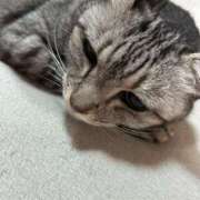 ヒメ日記 2025/06/07 10:51 投稿 める 北九州人妻倶楽部（三十路、四十路、五十路）