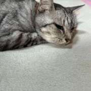 ヒメ日記 2025/06/08 07:10 投稿 める 北九州人妻倶楽部（三十路、四十路、五十路）