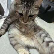 ヒメ日記 2025/06/24 17:47 投稿 める 北九州人妻倶楽部（三十路、四十路、五十路）