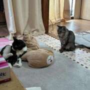 ヒメ日記 2025/07/01 07:35 投稿 める 北九州人妻倶楽部（三十路、四十路、五十路）