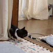 ヒメ日記 2025/07/11 15:31 投稿 める 北九州人妻倶楽部（三十路、四十路、五十路）