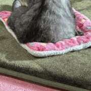 ヒメ日記 2025/09/27 17:47 投稿 める 北九州人妻倶楽部（三十路、四十路、五十路）