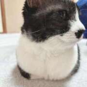 ヒメ日記 2025/09/28 08:04 投稿 める 北九州人妻倶楽部（三十路、四十路、五十路）