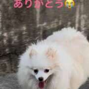 ヒメ日記 2025/10/02 17:20 投稿 める 北九州人妻倶楽部（三十路、四十路、五十路）