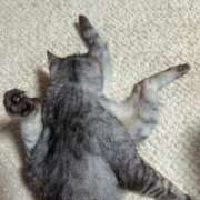 ヒメ日記 2025/10/03 17:48 投稿 める 北九州人妻倶楽部（三十路、四十路、五十路）