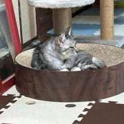 ヒメ日記 2025/10/10 16:35 投稿 める 北九州人妻倶楽部（三十路、四十路、五十路）