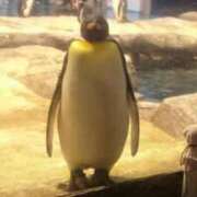 ヒメ日記 2025/10/21 17:46 投稿 める 北九州人妻倶楽部（三十路、四十路、五十路）