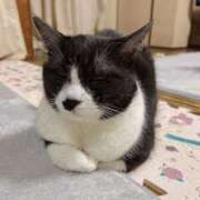 ヒメ日記 2025/10/21 19:06 投稿 める 北九州人妻倶楽部（三十路、四十路、五十路）