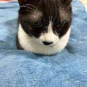 ヒメ日記 2025/10/26 09:04 投稿 める 北九州人妻倶楽部（三十路、四十路、五十路）