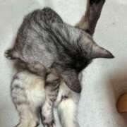 ヒメ日記 2025/10/27 17:58 投稿 める 北九州人妻倶楽部（三十路、四十路、五十路）