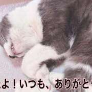 ヒメ日記 2025/11/17 17:15 投稿 める 北九州人妻倶楽部（三十路、四十路、五十路）