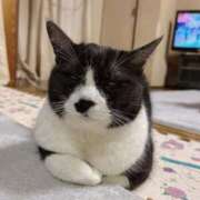 ヒメ日記 2025/12/04 21:08 投稿 める 北九州人妻倶楽部（三十路、四十路、五十路）