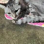 める みたよ❗️ 北九州人妻倶楽部（三十路、四十路、五十路）