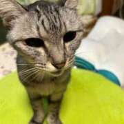 ヒメ日記 2025/12/09 18:55 投稿 める 北九州人妻倶楽部（三十路、四十路、五十路）