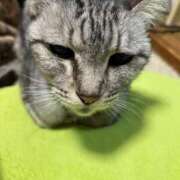 ヒメ日記 2025/12/12 17:24 投稿 める 北九州人妻倶楽部（三十路、四十路、五十路）