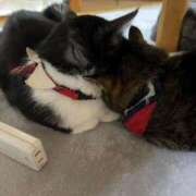 ヒメ日記 2025/12/29 19:34 投稿 める 北九州人妻倶楽部（三十路、四十路、五十路）