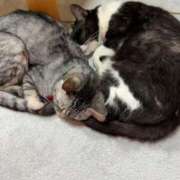 ヒメ日記 2026/01/20 08:10 投稿 める 北九州人妻倶楽部（三十路、四十路、五十路）