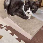 ヒメ日記 2026/05/09 18:30 投稿 める 北九州人妻倶楽部（三十路、四十路、五十路）