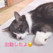 ヒメ日記 2026/05/23 19:22 投稿 める 北九州人妻倶楽部（三十路、四十路、五十路）