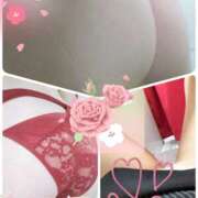 ヒメ日記 2025/03/04 07:30 投稿 佐々木 鶯うぐ