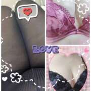 ヒメ日記 2025/03/12 08:38 投稿 佐々木 鶯うぐ