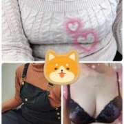 ヒメ日記 2025/03/24 09:16 投稿 佐々木 鶯うぐ