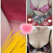 ヒメ日記 2025/04/13 07:48 投稿 佐々木 鶯うぐ