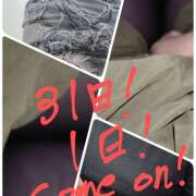 ヒメ日記 2025/05/28 11:24 投稿 佐々木 鶯うぐ