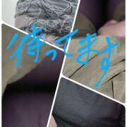 ヒメ日記 2025/05/31 13:24 投稿 佐々木 鶯うぐ