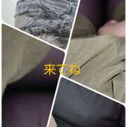 ヒメ日記 2025/05/31 13:56 投稿 佐々木 鶯うぐ