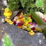 ヒメ日記 2025/12/19 15:22 投稿 佐々木 鶯うぐ