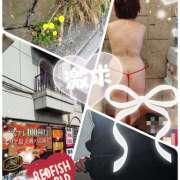 ヒメ日記 2026/03/27 15:28 投稿 佐々木 鶯うぐ