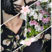 ヒメ日記 2026/04/24 09:00 投稿 佐々木 鶯うぐ