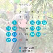 ヒメ日記 2025/03/21 21:24 投稿 霧島　ゆう Amateras～アマテラス～