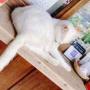 ヒメ日記 2025/05/22 12:33 投稿 霧島　ゆう Amateras～アマテラス～