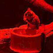 ヒメ日記 2025/07/12 10:49 投稿 霧島　ゆう Amateras～アマテラス～