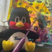 ヒメ日記 2025/08/13 16:53 投稿 霧島　ゆう Amateras～アマテラス～