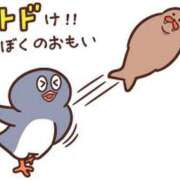 ヒメ日記 2025/08/27 14:50 投稿 霧島　ゆう Amateras～アマテラス～